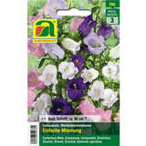 Marienglockenblume "Einfache Mischung" - Marienglockenblume "Einfache Mischung"
