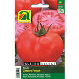 Tomate "Zieglers Fleisch" - Tomate "Zieglers Fleisch"