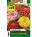 Zinnien "Gärtnerstolz Prachtmischung" - Zinnien "Gärtnerstolz Prachtmischung"