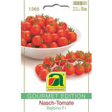 Nasch-Tomate "Bejbino F1" - Nasch-Tomate "Bejbino F1"
