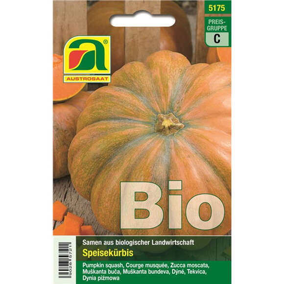 Kürbis BIO "Moschata de Provence": Bild 1/2 Kürbis BIO "Moschata de Provence": Bild 1/2