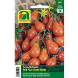 Tomate "Red Pear (Rote Birne)" - Tomate "Red Pear (Rote Birne)"
