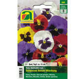 Stiefmütterchen, Viola "Schweizer Riesen Mischung" - Stiefmütterchen, Viola "Schweizer Riesen Mischung"
