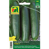 Gurke "Prado F1" - Gurke "Prado F1"