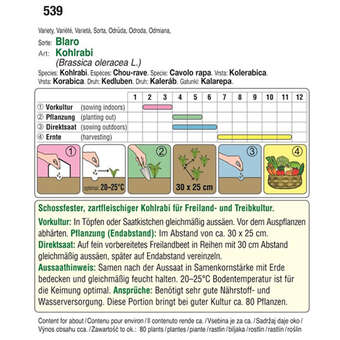 Kohlrabi "Blaro": Bild 2/2