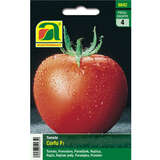 Tomate "Corfu F1" - Tomate "Corfu F1"