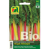 Mangold BIO - Mangold BIO