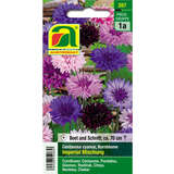 Kornblumen "Imperial Mischung" - Kornblumen "Imperial Mischung"