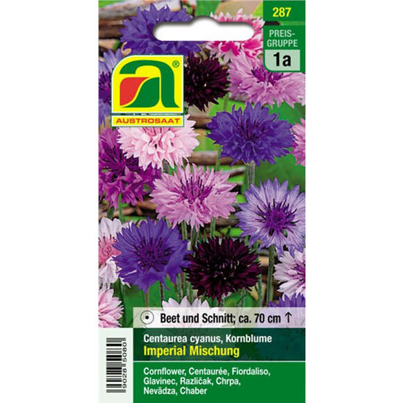 Kornblumen "Imperial Mischung": Bild 1/2 Kornblumen "Imperial Mischung": Bild 1/2