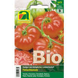Tomate BIO "Marmande" - Tomate BIO "Marmande"