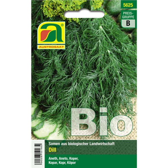 Dill BIO "Tetra": Bild 1/2 Dill BIO "Tetra": Bild 1/2