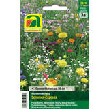 Blumenmischung "Sommer-Express" - Blumenmischung "Sommer-Express"