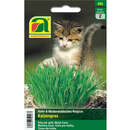 Katzengras - Katzengras
