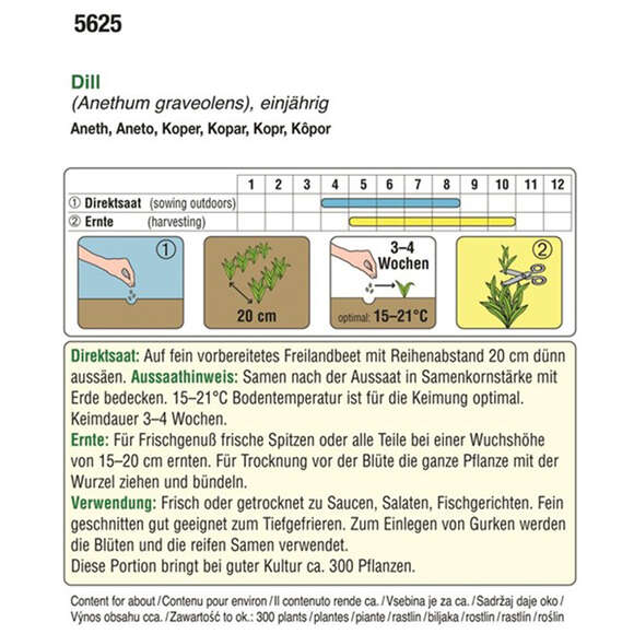 Dill BIO "Tetra": Bild 2/2 Dill BIO "Tetra": Bild 2/2
