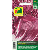 Radicchio "Palla rossa 2" - Radicchio "Palla rossa 2"