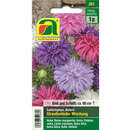 Astern "Straußenfeder Mischung" - Astern "Straußenfeder Mischung"