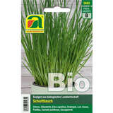 Schnittlauch BIO "Staro" - Schnittlauch BIO "Staro"