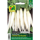 Radieschen "Ladenbeet (Typ Eiszapfen)" - Radieschen "Ladenbeet (Typ Eiszapfen)"