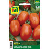 Tomate "Festas F1" - Tomate "Festas F1"