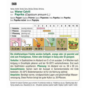 Paprika "Wiener Calvill": Bild 2/2