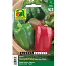 Paprika "Neusiedler Ideal" - Paprika "Neusiedler Ideal"