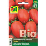 Tomate BIO "Roma VF" - Tomate BIO "Roma VF"