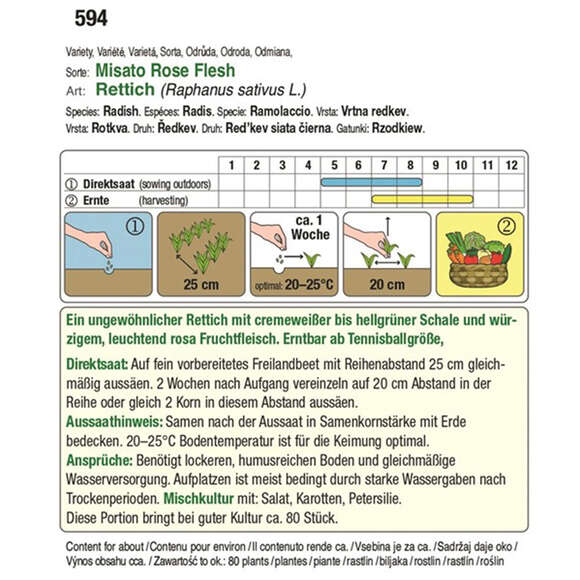 Rettich "Misato Rose Flesh": Bild 2/2 Rettich "Misato Rose Flesh": Bild 2/2