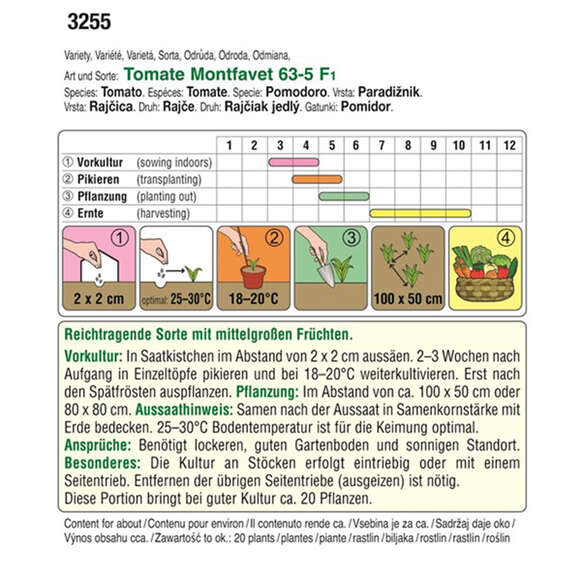 Tomate "Montfavet 63-5 F1": Bild 2/2