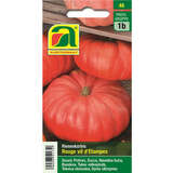 Kürbis "Rouge vif d'Etampes" - Kürbis "Rouge vif d'Etampes"