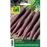 Karotten, Möhren "Purple Sun F1" - Karotten, Möhren "Purple Sun F1"