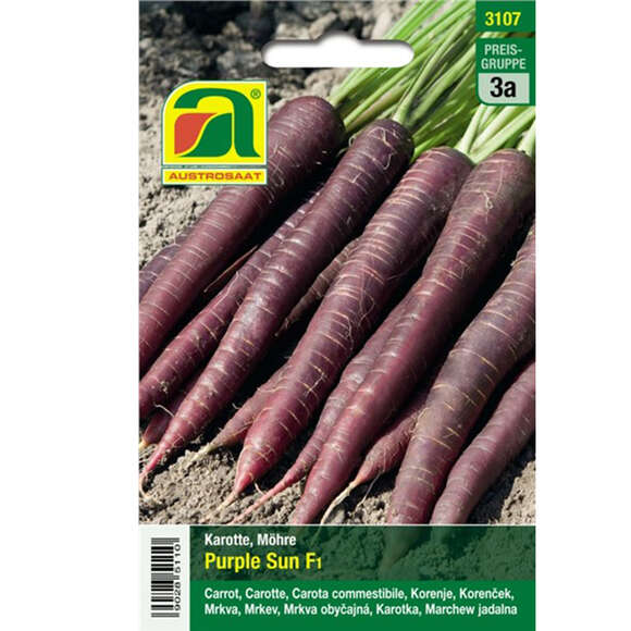 Karotten, Möhren "Purple Sun F1": Bild 1/2 Karotten, Möhren "Purple Sun F1": Bild 1/2