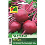 Rote Rüben "Rote Kugel 2" - Saatband - Rote Rüben "Rote Kugel 2" - Saatband
