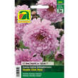 Cosmea "Double Click Rose": Bild 1/2
