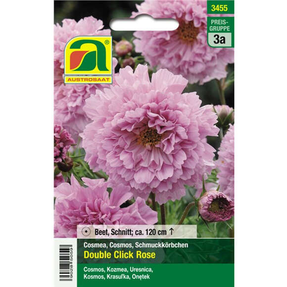 Cosmea "Double Click Rose": Bild 1/2 Cosmea "Double Click Rose": Bild 1/2