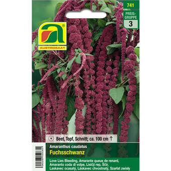 Fuchsschwanz