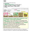 Zuckermelone BIO "Charentais": Bild 2/2