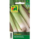 Porree "De Carentan 2" - Porree "De Carentan 2"