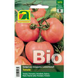 Tomate BIO "Berner Rose" - Tomate BIO "Berner Rose"