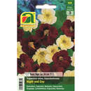 Kapuzinerkresse "Night and Day" - Kapuzinerkresse "Night and Day"