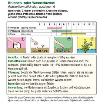 Brunnenkresse: Bild 2/2