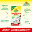 Ameisen Buffet: Bild 3/4