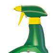 Kombi-Rosen Spray: Bild 1/4