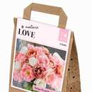 Bouquet Collection Double Pastel - Tulpen-Mischung