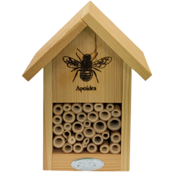 Bienenhaus mit Silouette
