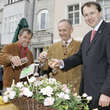 Rose 'Barockstadt St. Pölten': Bild 2/9