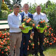 Rose 'Florianirose': Bild 4/18