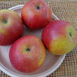 Malus domestica 'Cox Orangen Renette': Bild 1/6