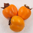 Diospyros kaki Fruchtsorte: Bild 1/5