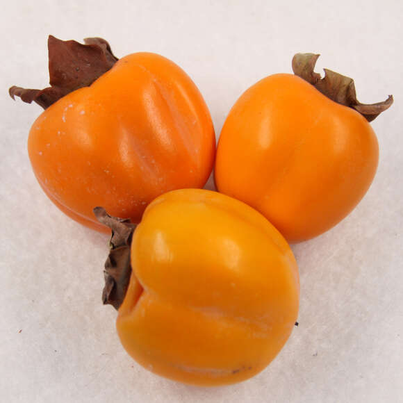 Diospyros kaki Fruchtsorte: Bild 1/5 Diospyros kaki Fruchtsorte: Bild 1/5