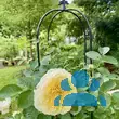 Rose 'The Pilgrim' - von 2523230192_833: Bild 12/16